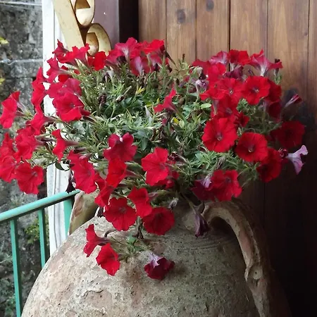 Hotel Diffuso Borgo Santa Caterina
